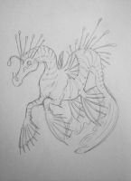 Abyssal Hippocamp